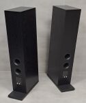 Pylon Audio Diamond 30 MK2 - raty 0% dostawa sklep WROCŁAW - 3