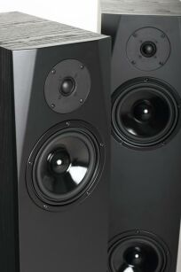 Pylon Audio Sapphire 25 (czarny, sztuka)