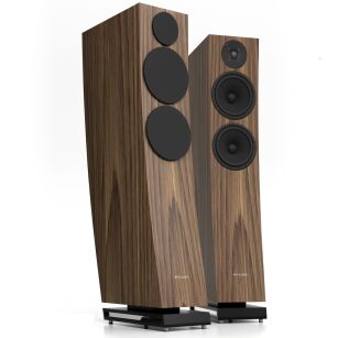Pylon Audio Jasper 25 mk2 - orzech - raty